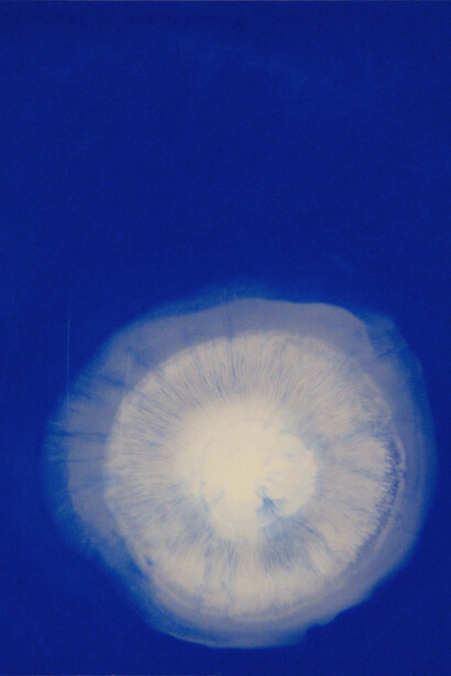 Peter Flaccus, Wave (dettaglio), 2003. Per gentile concessione di Maja Arte Contemporanea