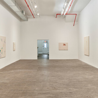 Sofia Silva, Spoiled by Freud, exhibition view. Courtesy of Andrew Kreps Gallery