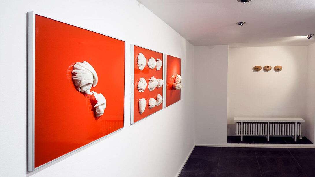 Lidó Rico, De rerum naturae, exhibition view. Courtesy of Luisa Catucci Gallery