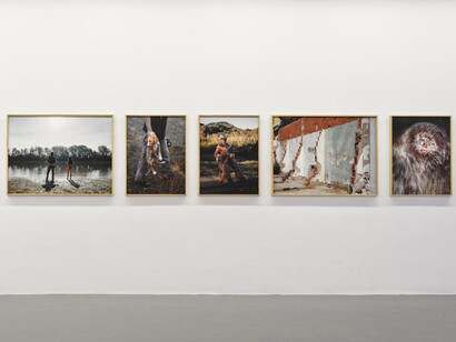Dragana Jurišić, The last Balkan cowboy, exhibition view. Courtesy of Temple Bar Gallery + Studios