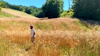 Il pane fatto con grani antichi italiani valorizza varietà locali che richiedono meno fertilizzanti chimici, proteggendo la biodiversità e riducendo l’impronta ambientale