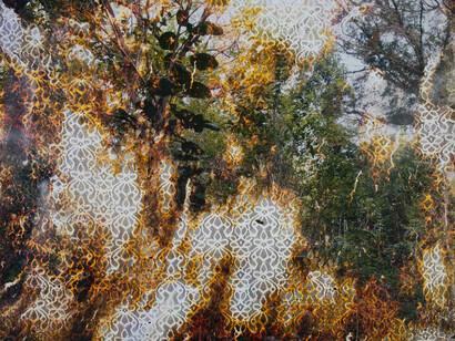 Matthew Brandt, Wai’anae 92610 (detail), 2015. Courtesy of Haines Gallery