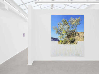 Marcel Berlanger, La disparition des limicoles, exhibition view. Courtesy of rodolphe janssen gallery