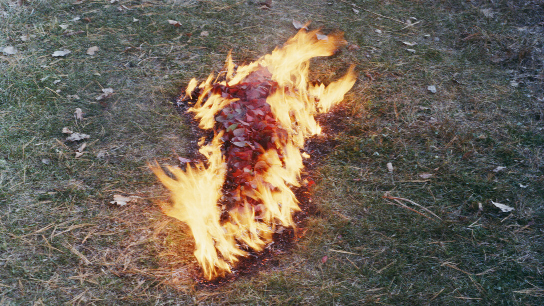 Ana Mendieta, Untitled: silueta series, 1977. Courtesy Marian Goodman
Gallery © The Estate of Ana Mendieta Collection, LLC