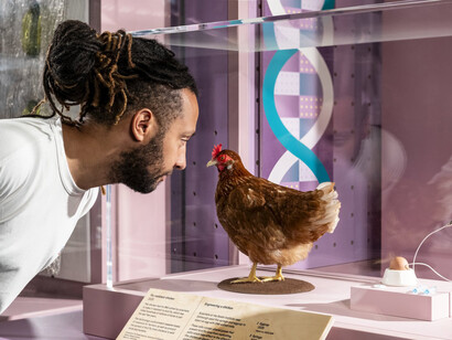 Future of food, exhibition view. Courtesy of Science Museum