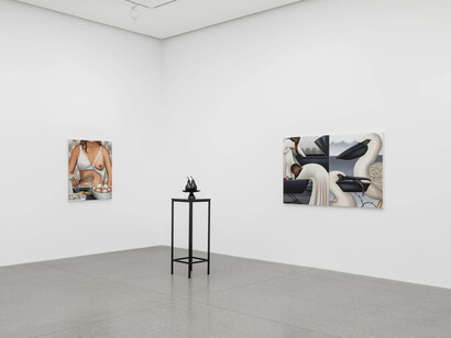 Julie Curtiss, Maid in feathers, exhibition view. Courtesy of White Cube