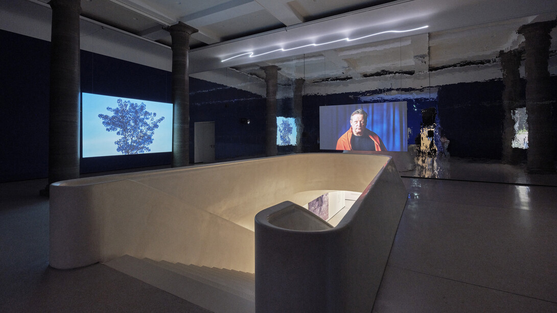 Asta Gröting, A wolf, primates and a breathing curve, exhibition view. Courtesy of Museum Städel