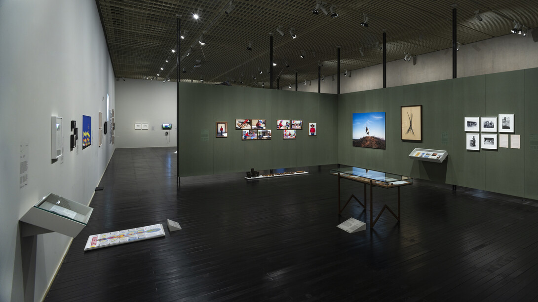 Diversos artistas, Histórias da ecologia, vista da exposição. Cortesia do MASP