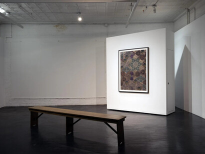 Zoe Pettijohn Schade, installation view of the single work show, Attempts at self-organization: prevailing bonds, 2024. Courtesy of Kai Matsumiya Gallery