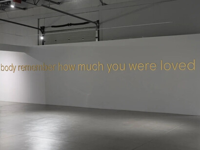 Geneviève Cadieux, Wild is the wind, exhibition view. Courtesy of Blouin Division