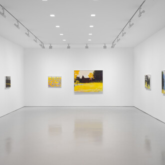 Wolf Kahn, exhibition view. Courtesy of Miles McEnery Gallery