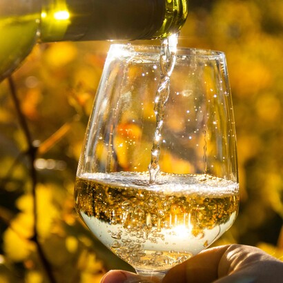 Il Verdicchio accompagna perfettamente piatti a base di pesce, formaggi freschi e carni bianche