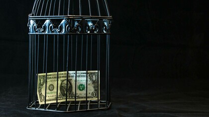 Gabbia per animali domestici che contiene una banconota da un dollaro: una riflessione sul potere, i limiti e le contraddizioni del sistema economico