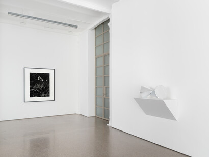 Jean-Luc Moulène, exhibition view. Courtesy of Galerie Greta Meert