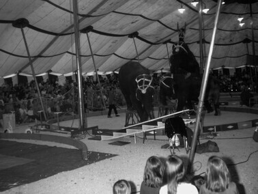 Key West Circus, March 1970. Photo by Raymond L. Blazevic. Courtesy of Florida Keys Public Libraries