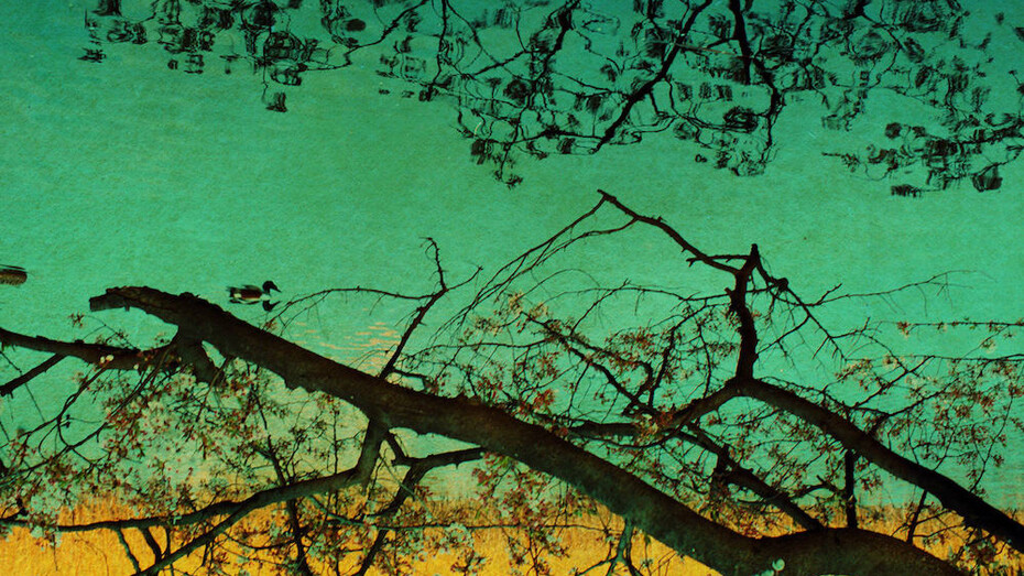 Albarrán Cabrera, The mouth of Krishna #225 (détail), 2013. Avec l'aimable autorisation des Douches la Galerie