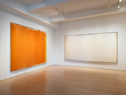 Various artists, Fields of color V, exhibition view. Courtesy of Yares Art