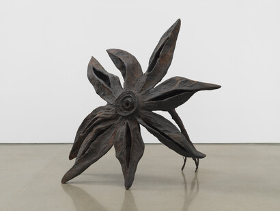 Ming Fay, Anise, 1989. © Ming Fay, Cortesía del artista y kurimanzutto