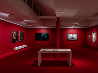 Various artists, Tender fury, exhibition view. Courtesy of Galerie Ron Mandos