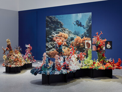 Expedition to the world's oceans, exhibition view. Courtesy of Bundeskunsthalle