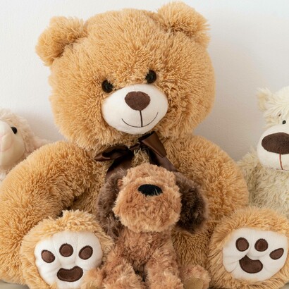 L'orsetto Teddy, protagonista delle lezioni in lingua inglese per la Scuola dell'Infanzia Luzio di San Severino Marche, Italia