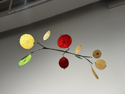 Ming Fay, Money tree branch 20. © Ming Fay, Cortesía del artista y kurimanzutto