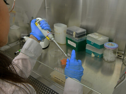 A female scientist focused on conducting an experiment in the lab