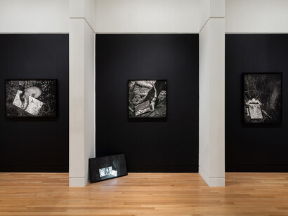 Camille Trautman, Boren Banner series, exhibition view. Courtesy of Frye Art Museum