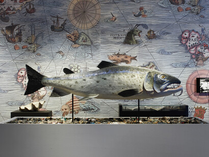 Expedition to the world's oceans, exhibition view. Courtesy of Bundeskunsthalle
