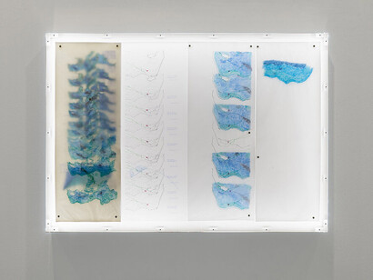 Claudia Pagès Rabal, Feudal holes, exhibition view. Courtesy of MUMOK