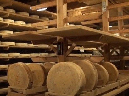 Bitto, formaggio tipico della Valtellina