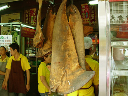 Shark fins and jaws for sale in Bangkok Chinatown, Thailand