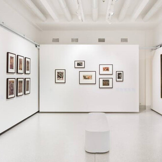 Various artists, Below the horizon: Zbyšek Sion and informal abstraction, exhibition view. Courtesy of Národní galerie Praha
