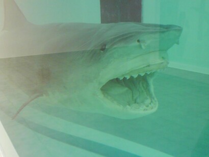 Damien Hirst, "L'impossibilità fisica della morte nella mente di qualcuno che vive", 1991, opera nella collezione privata di Steve Cohen