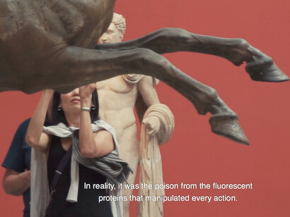 Carlos Alfonso, Shapes of visions that fly at night. Cortesía de Casas Riegner