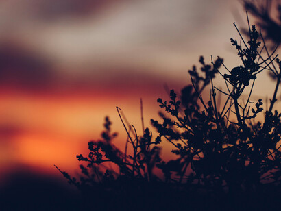 El bienestar llegó cuando aprendí a soltar lo que me estancaba, a crear rutinas alineadas con lo que realmente importa y a priorizar los vínculos que nutren mi alma