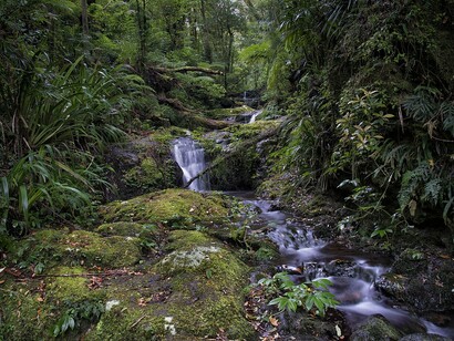 Cascate sul sentiero Albert River Circuit Track, Parco Nazionale di Lamington, Queensland, Australia