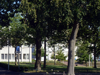 Después de ejercer como profesor de filosofía e historia, fue elegido Rector Magnífico. Universidad Católica de Nimega, Holanda