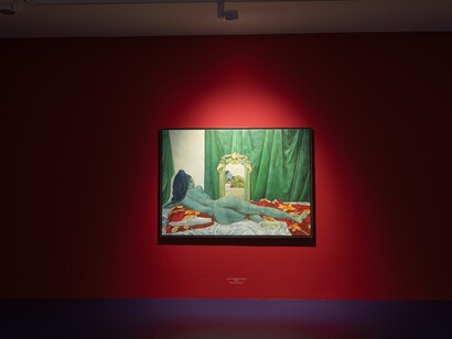 Awanle Ayiboro Hawa Ali, Fine feathers don‘t make fine birds, ausstellungsansicht. Mit freundlicher genehmigung von OK Linz