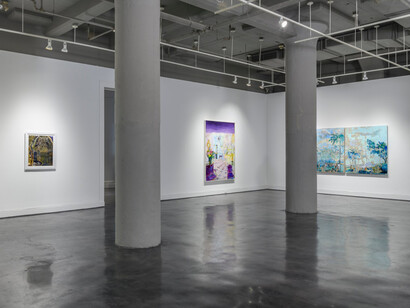 Jane Irish, An absolute reciprocity of adaptation, exhibition view. Courtesy of Locks Gallery