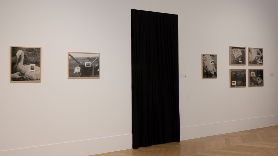 Verschiedene künstler, Bundespreis für kunststudierende, ausstellungsansicht. Mit freundlicher genehmigung der Bundeskunsthalle