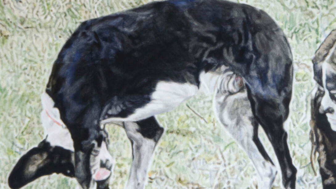 Leanne Picthall, – Am I you yet? (detail), 2025. Mit freundlicher genehmigung des Museums Franz Gertsch