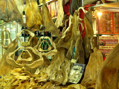 Shark fins and jaws displayed at a Chinese medicine shop on Dihua Street, Taiwan