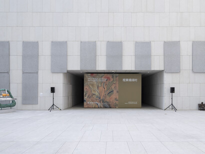 When oranges are orange and tangerines are green, exhibition view. Courtesy of Long Museum