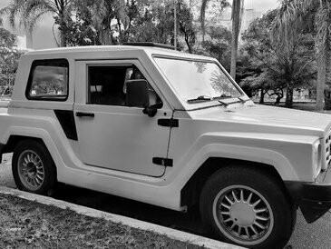 O BR-800 foi criado com um conceito simples: ser acessível, econômico e totalmente brasileiro. O projeto contou com apoio do governo, que ofereceu isenção de IPI para quem comprasse ações da Gurgel. Isso possibilitou que milhares de brasileiros investissem no sonho de um carro nacional