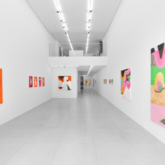 Antonio Malta Campos, Opalescent, exhibition view. Courtesy of Simões de Assis Gallery