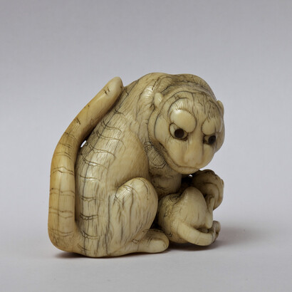 Giuseppe Piva, Tigre