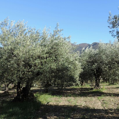 Ha ragione, tutto si compie mentre proviamo a essere