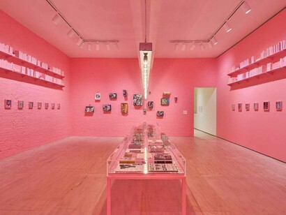 Vaginal Davis, Magnificent product, vista de exhibición. Cortesía de MoMA PS1