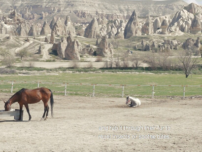 Carlos Alfonso, Shapes of visions that fly at night. Cortesía de Casas Riegner